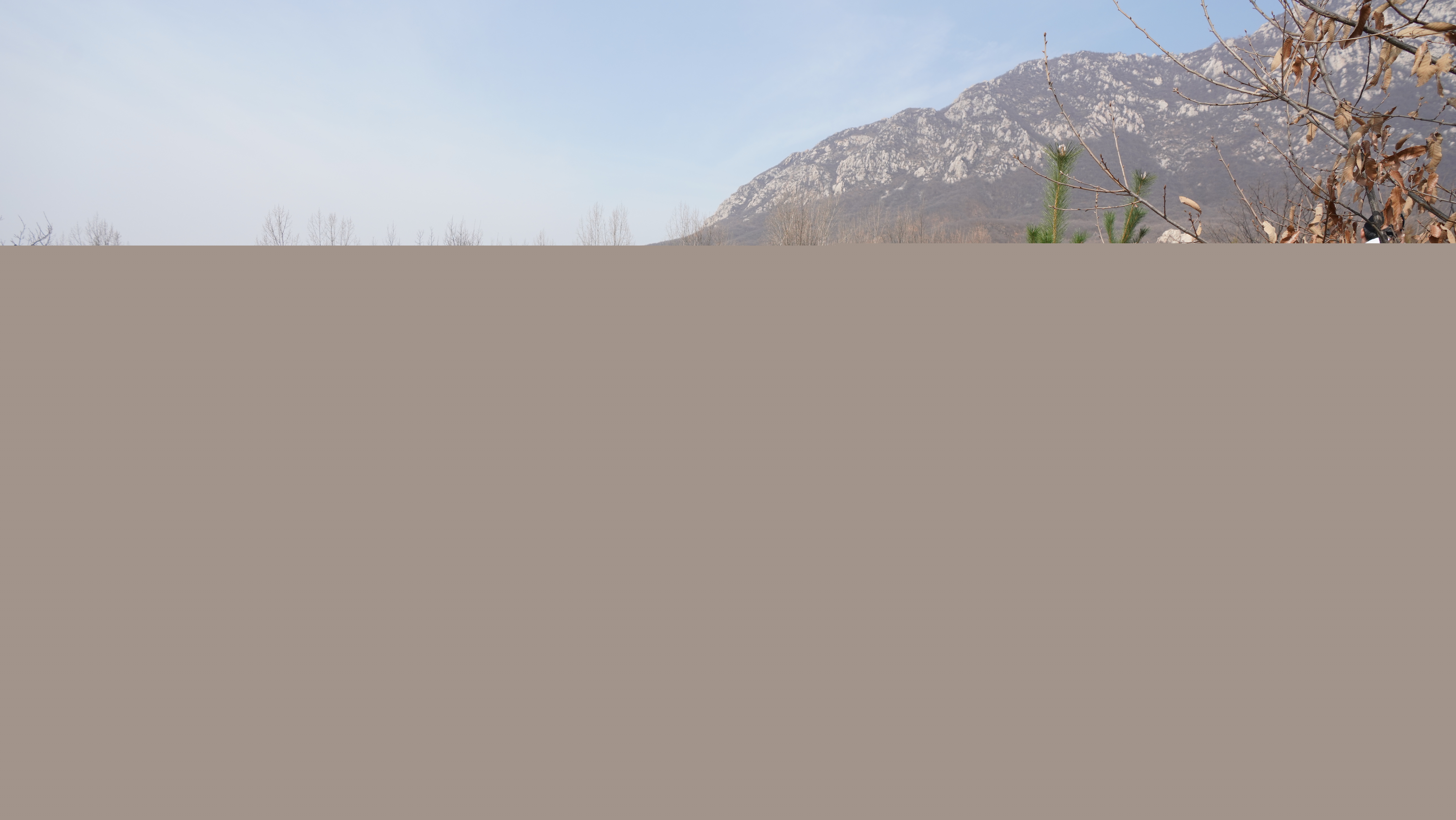 1710223849968020342.jpg 河南.jpg