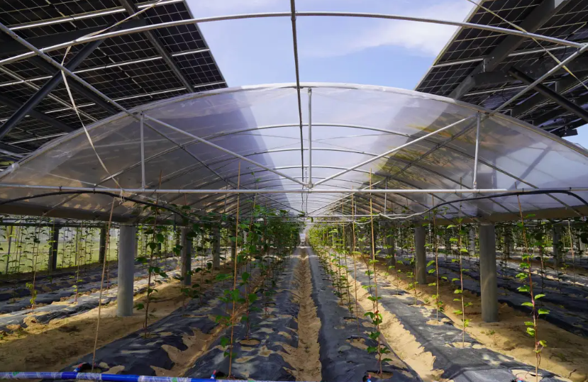 1730253615601003419.png 3.png