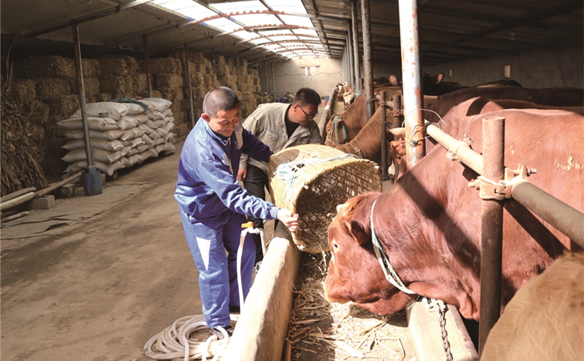 1627293655311034265.jpg 8.jpg